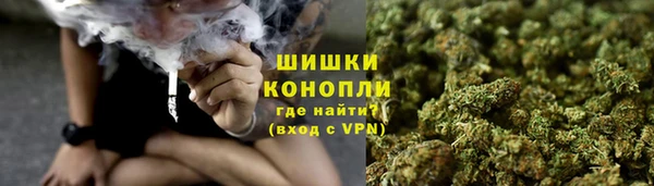 гашик Алзамай