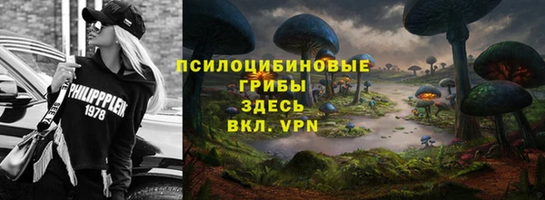 винт Алексин