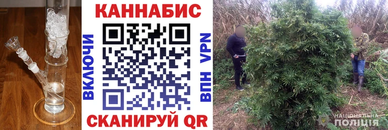 МАРИХУАНА сатива  Анива 